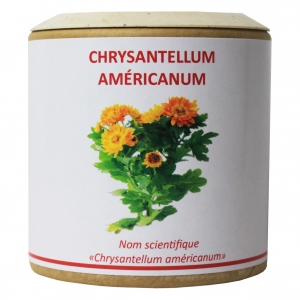 Chrysantellum-americanum