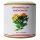Chrysantellum americanum