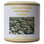 Chrysanthemum-parthenium