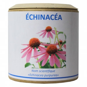Echinacéa