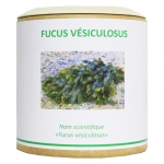 Fucus vésiculosus