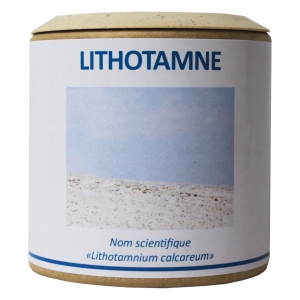 Lithotamne