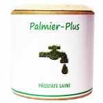 Palmier-Plus 